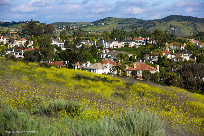 Bonsall Foundation Repair